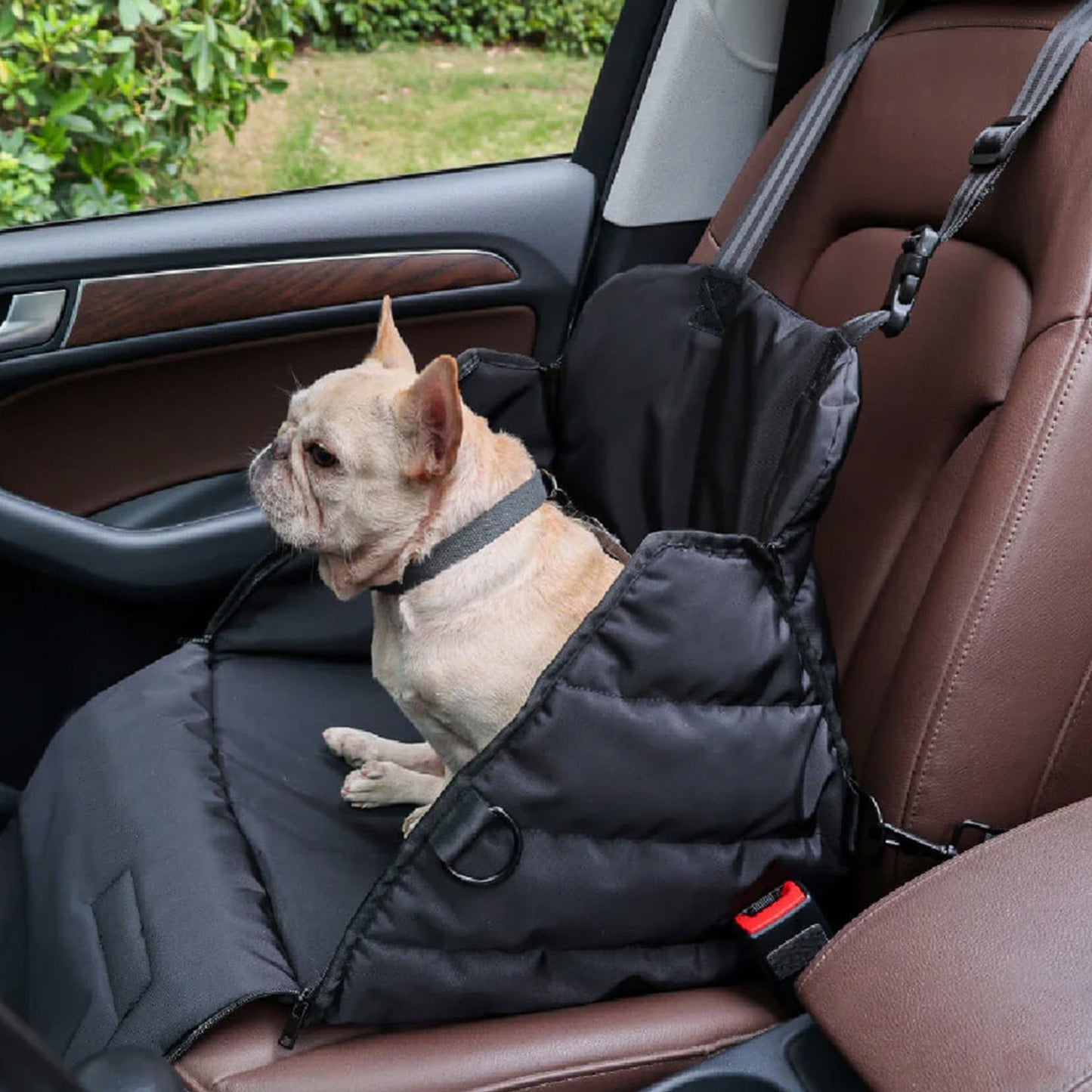Panier Auto Pour Chien – Confort Et Sécurité En Route