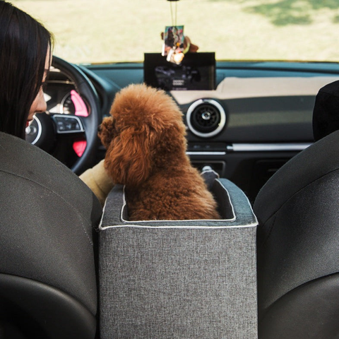 Børnesæde til Dyr — Sikker og Komfortabel Transport 