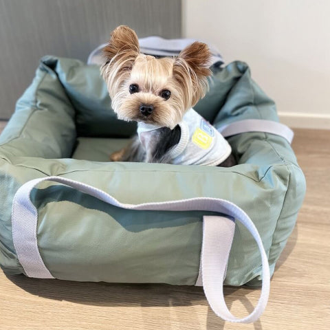 Μαξιλάρι Αυτοκινήτου Για Σκύλους – Προστασία Και Άνεση Στο Δρόμο 