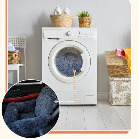 Pohodlné autosedačky pre psov – Bezpečnosť a pohoda 