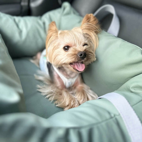 Μαξιλάρι Αυτοκινήτου Για Σκύλους – Προστασία Και Άνεση Στο Δρόμο 