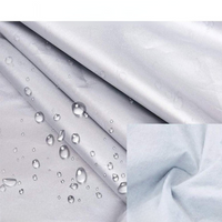 車のフロントガラス保護 — 霜からの保護 