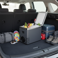 Mini Kjøleskap & Bilmatvarmer — 2 i 1 Praktisk 