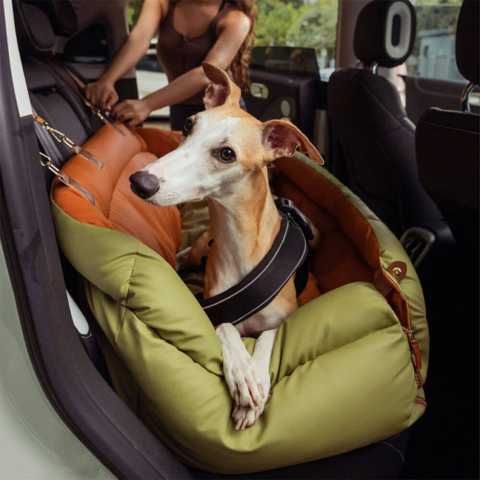 Poduszka samochodowa dla psa – wsparcie i komfort w drodze 