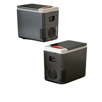 Mini Refrigerador Portátil Para Coche – Compacto y Práctico 