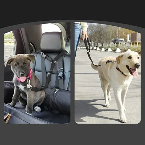 רצועת בטיחות מתכווננת לכלב – מיוחדת לרכב 