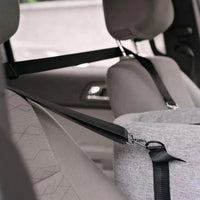 סל נסיעה לרכב עבור כלבים – מושלם עבור בני לוויה קטנים 